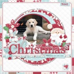 FQB - Patchwork Christmas Collection