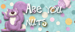 Nuts for Nitwit Collections