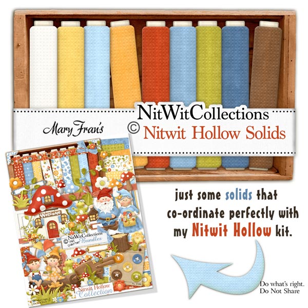 Nitwit Hollow Solids