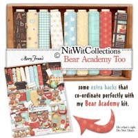 Bear Academy Too