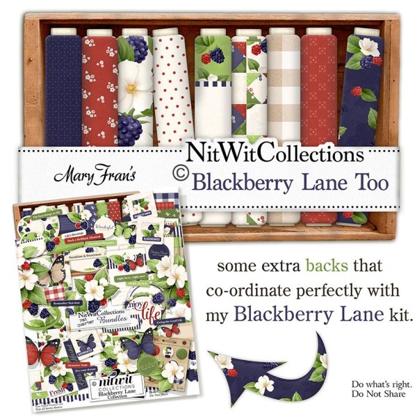 (image for) Blackberry Lane Too