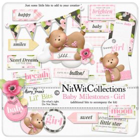 Bundled - Baby Milestones Girl Collection