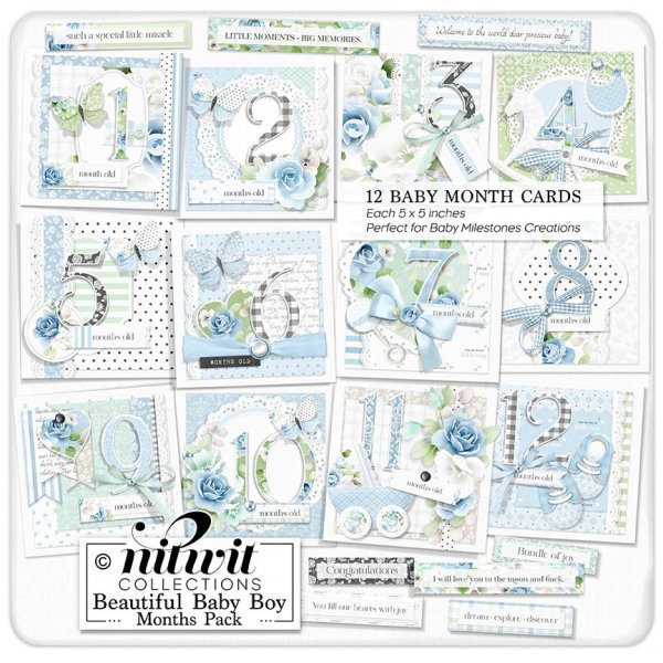 Bundled - Beautiful Baby Boy Collection - Click Image to Close