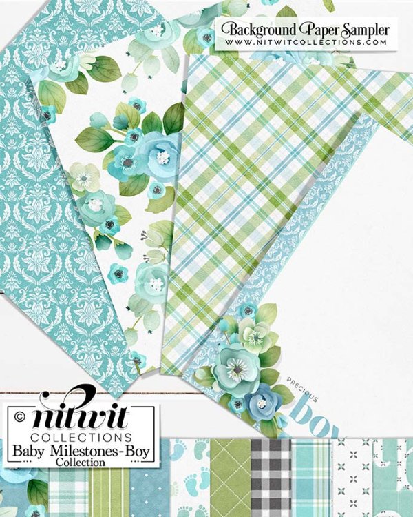 (image for) FQB - Baby Milestones Boy Collection