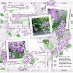 FQB - Lilac Blossoms Collection
