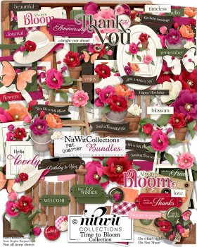 (image for) FQB - Time To Bloom Collection