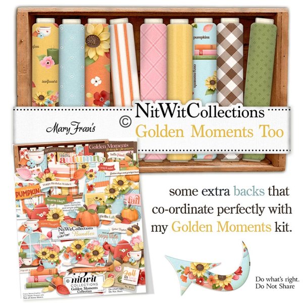(image for) Golden Moments Too