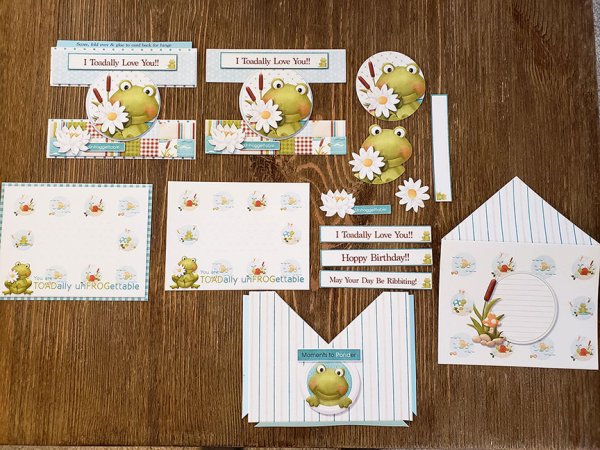 (image for) Knick Knack - A Frog's Wish