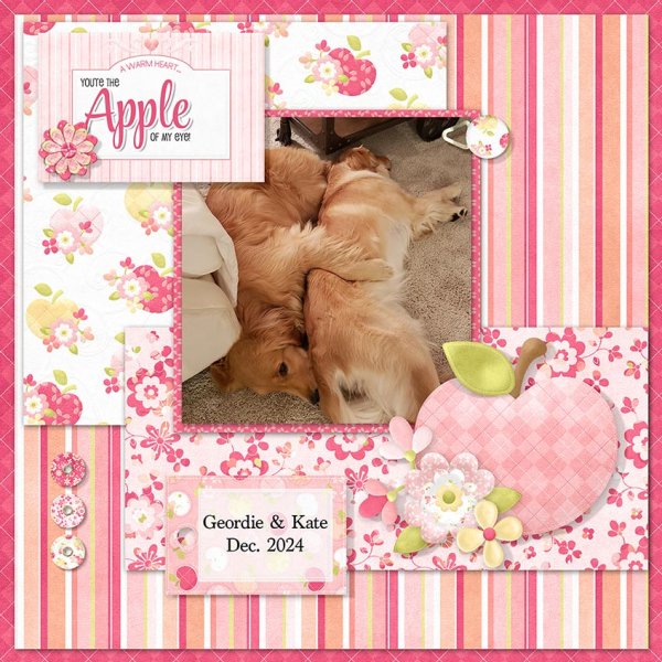 (image for) Knick Knack - Apple Of My Eye