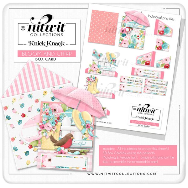 (image for) Knick Knack - Box Card - Bloom And Chirp