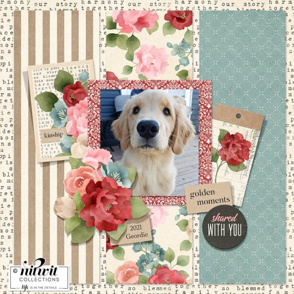 (image for) Knick Knack - Perfect Moments