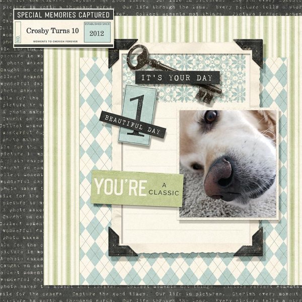(image for) Knick Knack - Special Memories