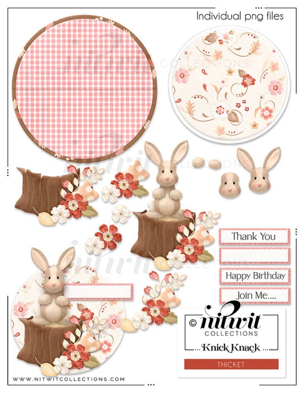 (image for) Knick Knack - Thicket