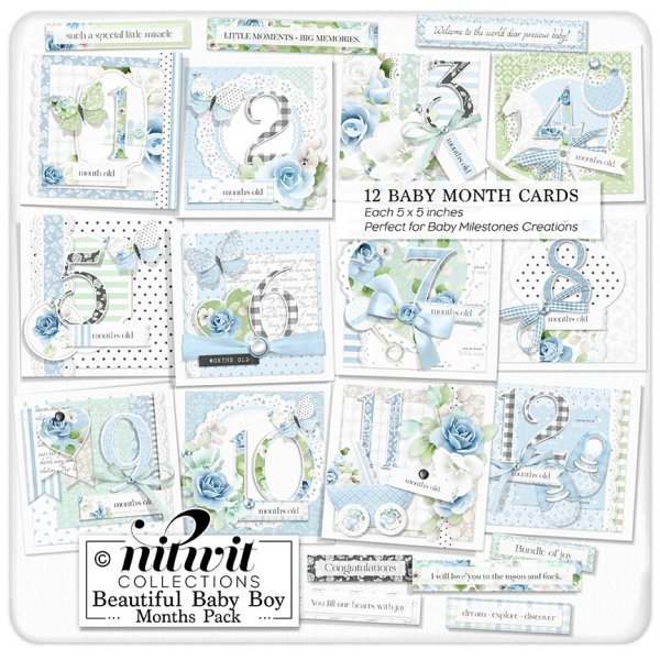 (image for) Lil Bits - Beautiful Baby Boy Months