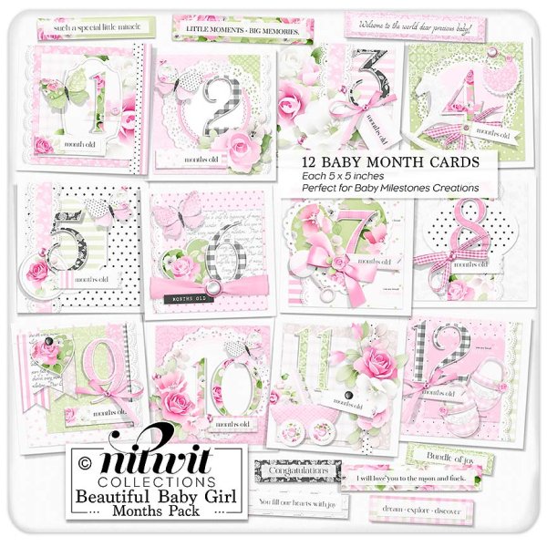 (image for) Lil Bits - Beautiful Baby Girl Months