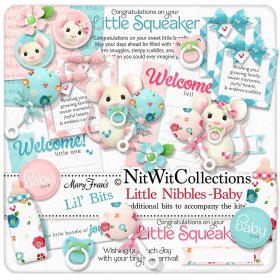 (image for) Lil Bits - Little Nibbles - Baby