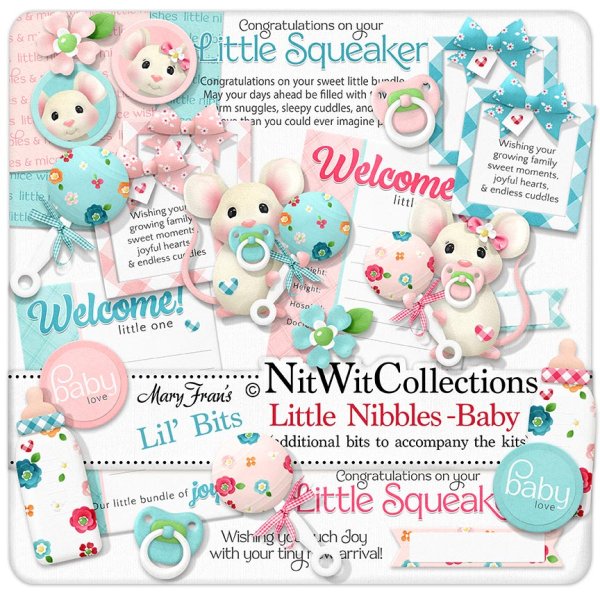 (image for) Lil Bits - Little Nibbles - Baby