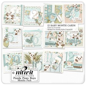 (image for) Lil Bits - Panda Paws Boys Months