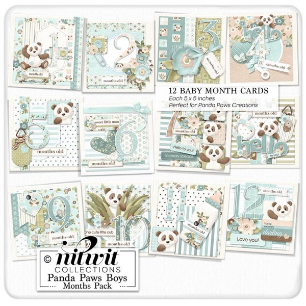 (image for) Lil Bits - Panda Paws Boys Months