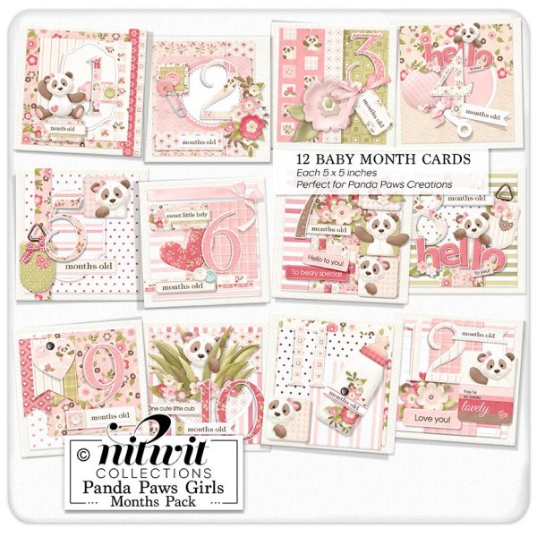 (image for) Lil Bits - Panda Paws Girls Months