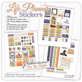 Fly By Night - Life Planner Stickers