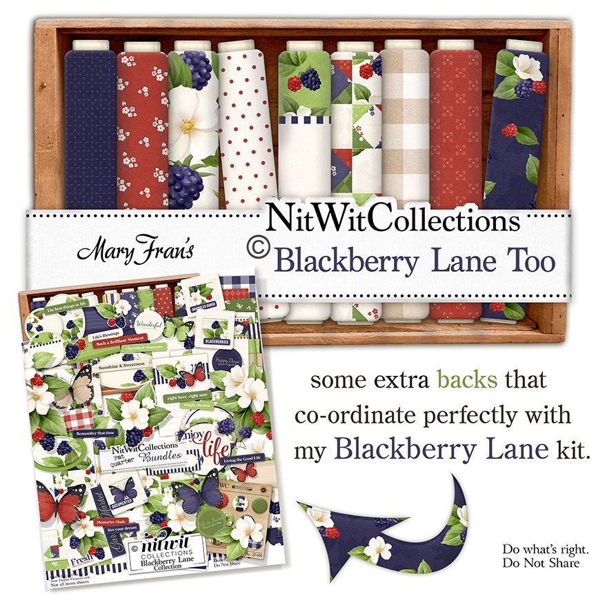 (image for) Blackberry Lane Too