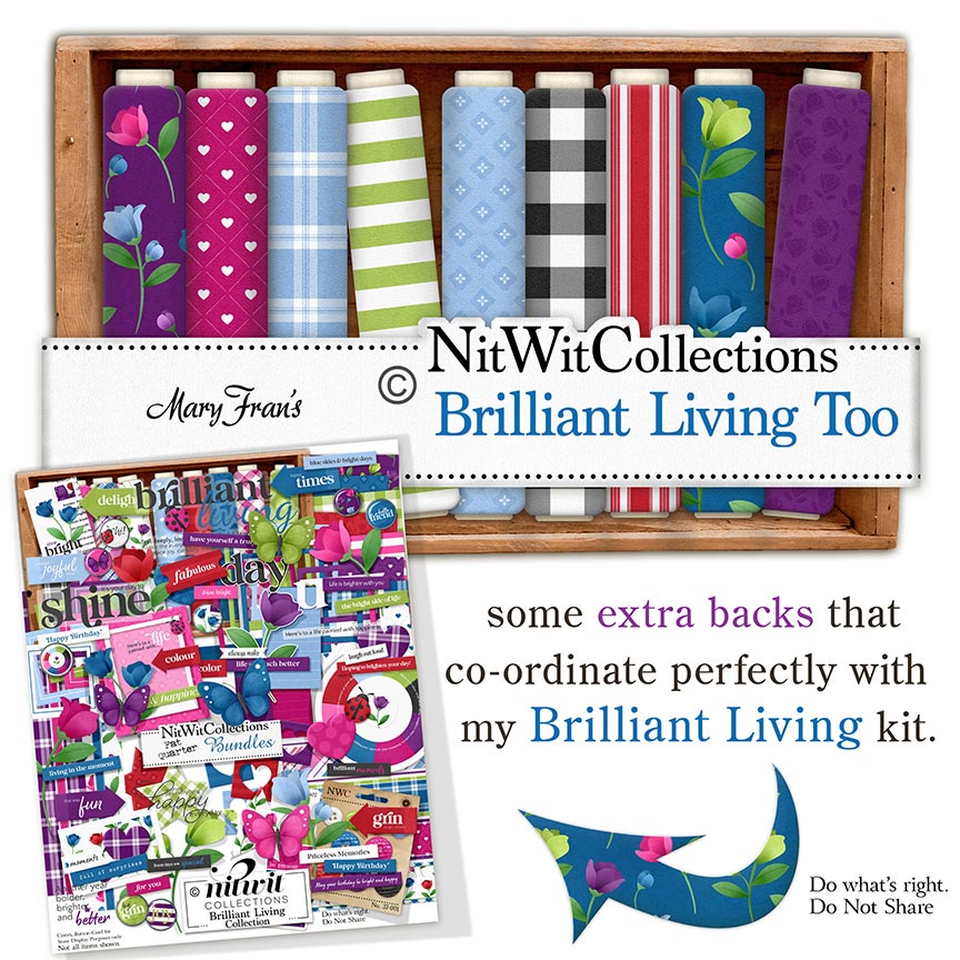 (image for) Brilliant Living Too