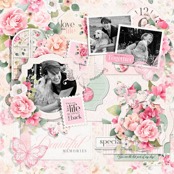 (image for) Bundled - Annabelle Collection