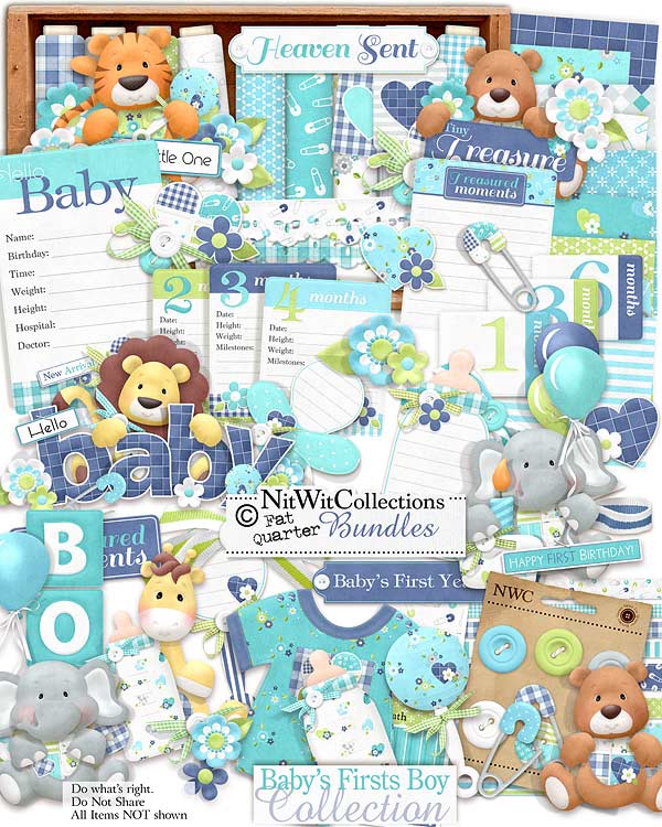 (image for) Bundled - Baby's Firsts Boy Collection