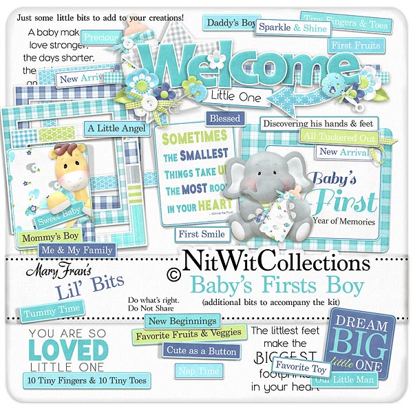(image for) Bundled - Baby's Firsts Boy Collection