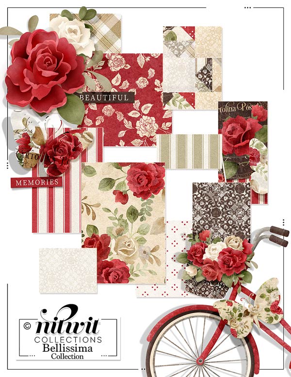(image for) Bundled - Bellissima Collection