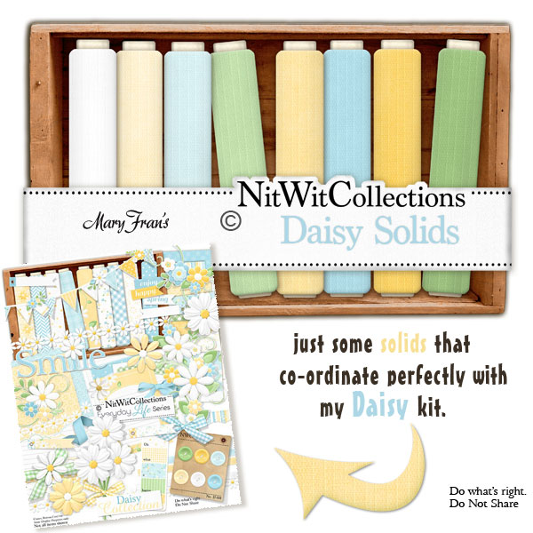 (image for) Bundled - Daisy Collection