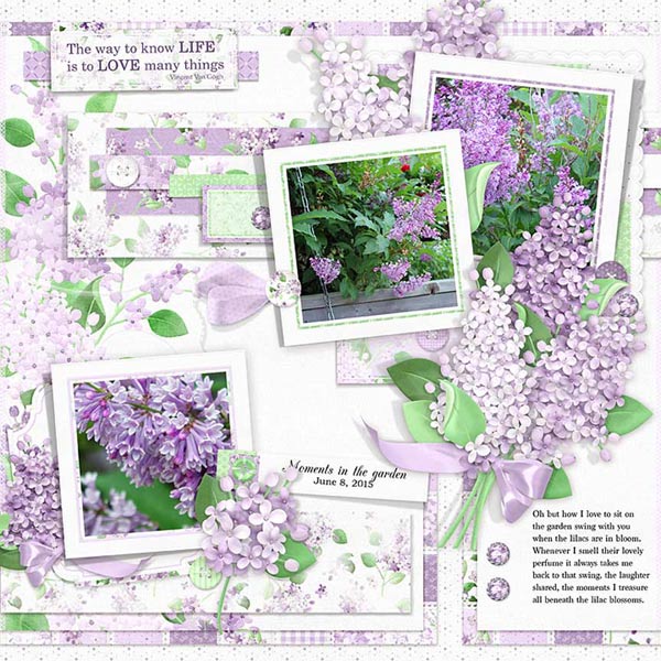 (image for) Bundled - Lilac Blossoms Collection