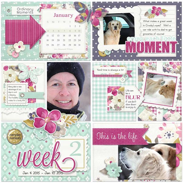 (image for) Journal Cards - Day to Day