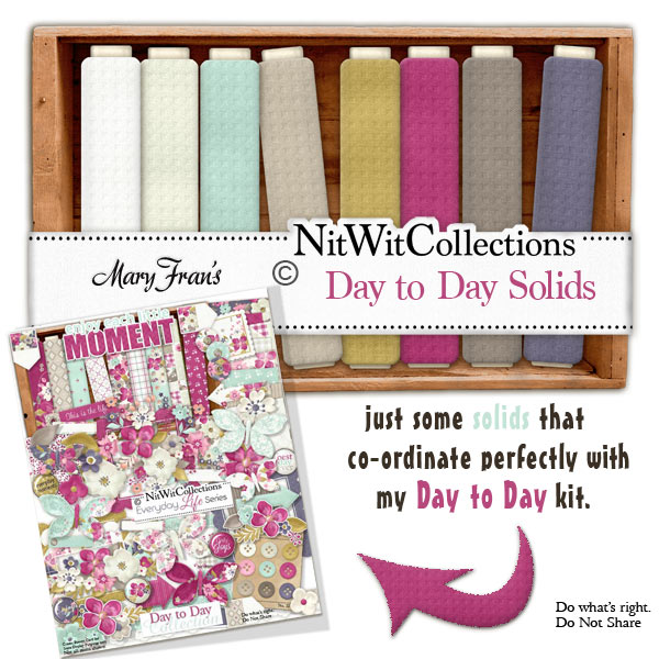 (image for) Day to Day Solids