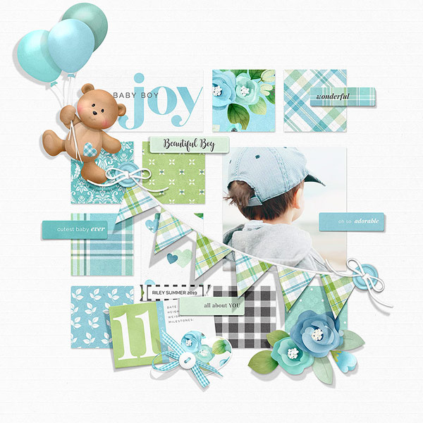 (image for) FQB - Baby Milestones Boy Collection