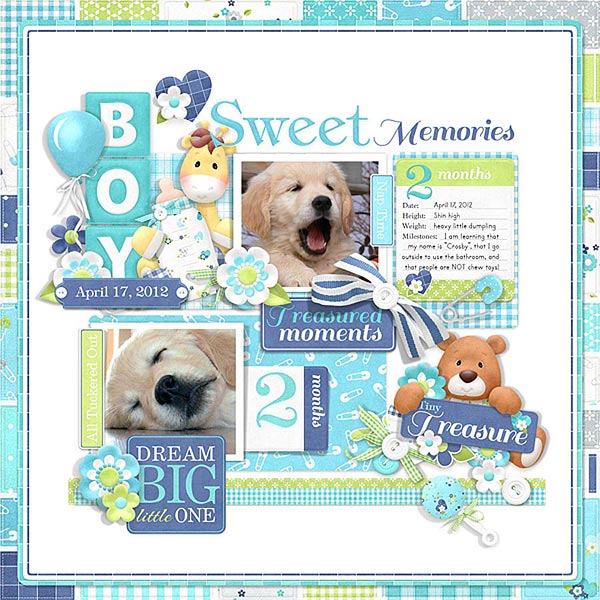 (image for) FQB - Baby's Firsts Boy Collection