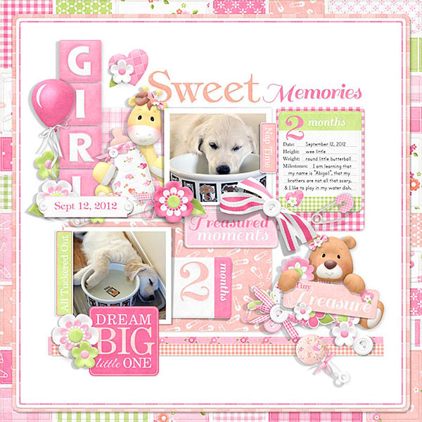 (image for) FQB - Baby's Firsts Girl Collection