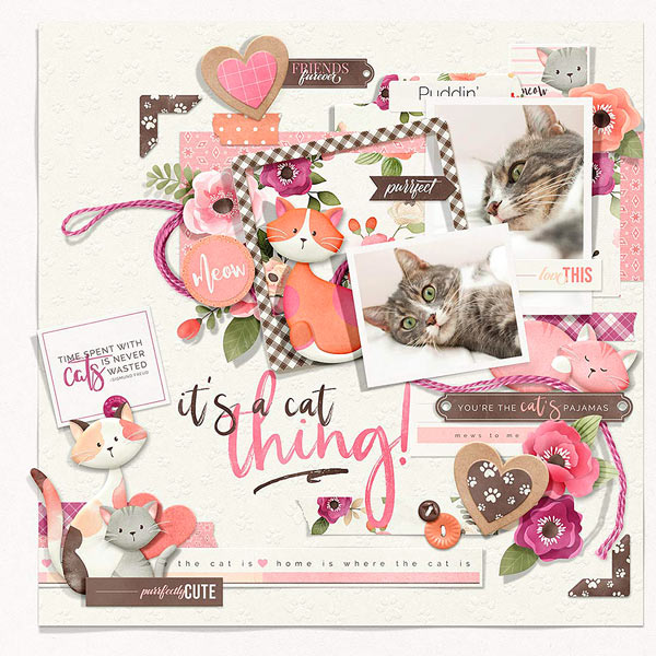 (image for) FQB - Cat-itude Collection