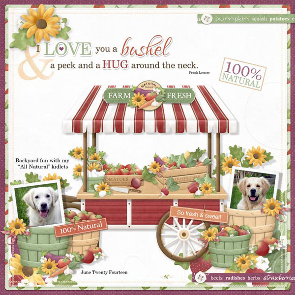 (image for) FQB - Farmer's Market Collection