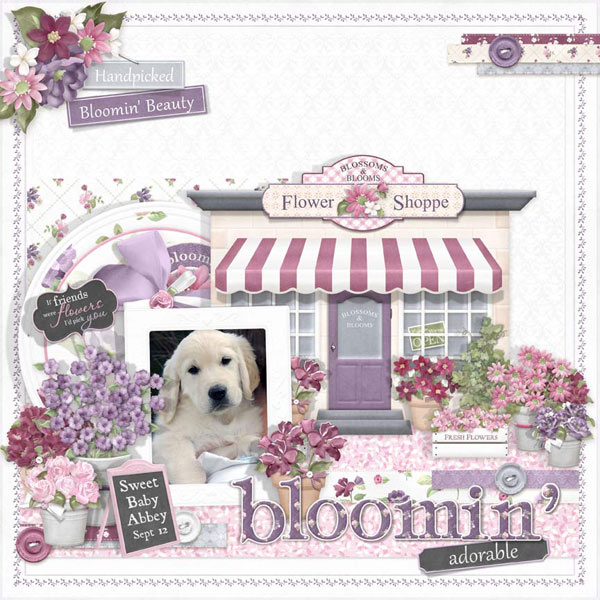 (image for) FQB - Flower Shoppe Collection