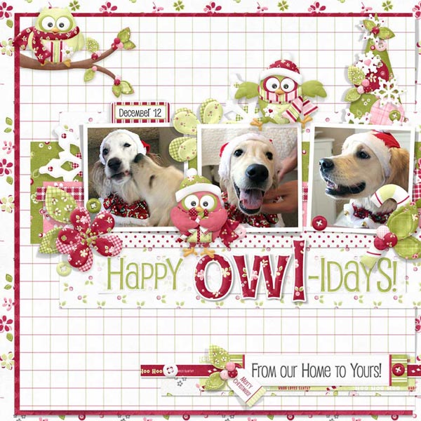 (image for) FQB - Hootie Holidays Collection