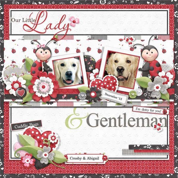(image for) FQB - Ladies & Gentlemen Collection