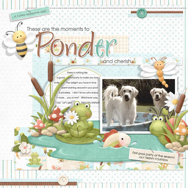 (image for) FQB - On Nitwit Pond Collection