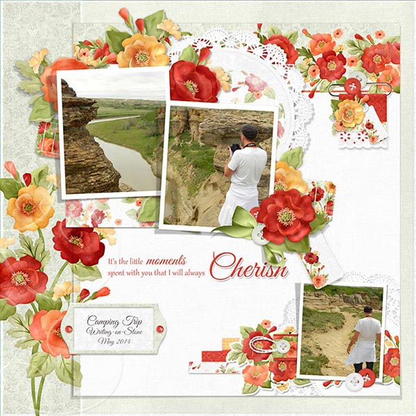 (image for) FQB - Poppies Collection