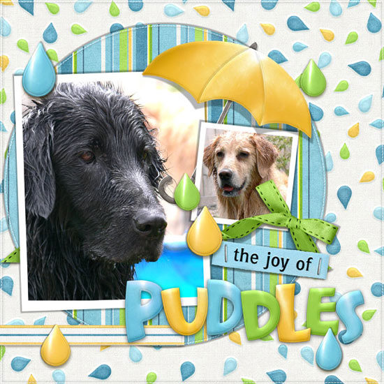 (image for) FQB - Puddle Jumpin' Collection