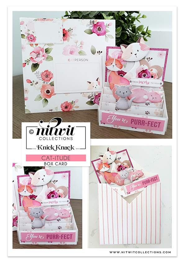 (image for) Knick Knack - Box Card - Cat-itude