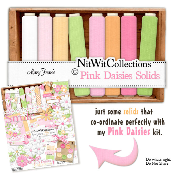 Pink Daisies Solids