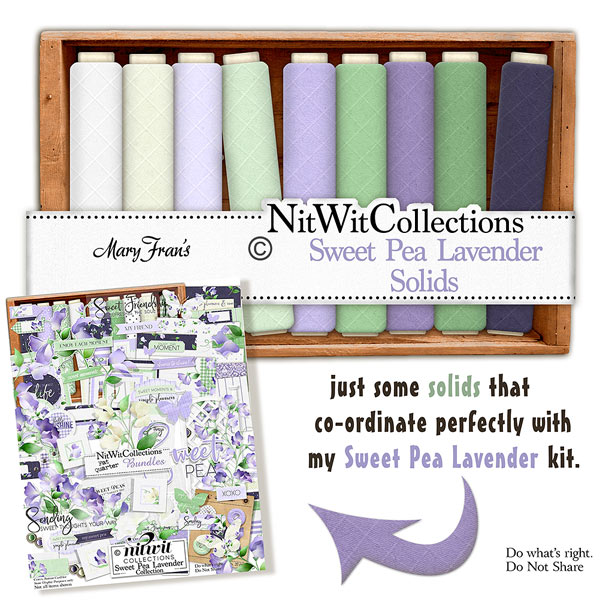 Sweet Pea Lavender Solids
