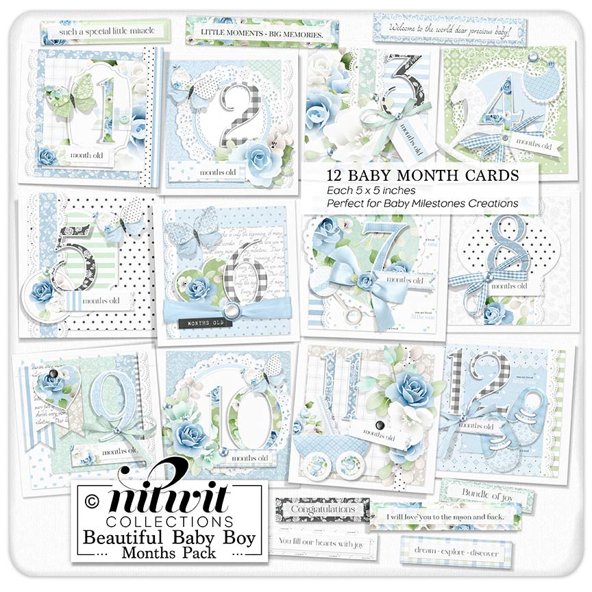 (image for) Lil Bits - Beautiful Baby Boy Months